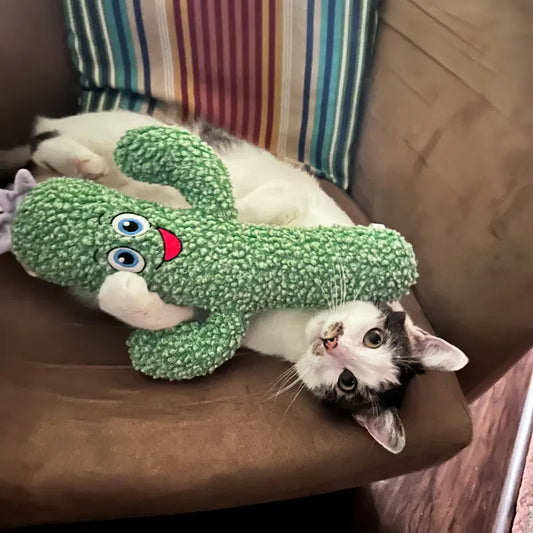 KONG Kickeroo Cactus, Plush Cat Toy W/ Catnip